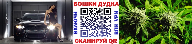 МАРИХУАНА планчик Купить где Меленки